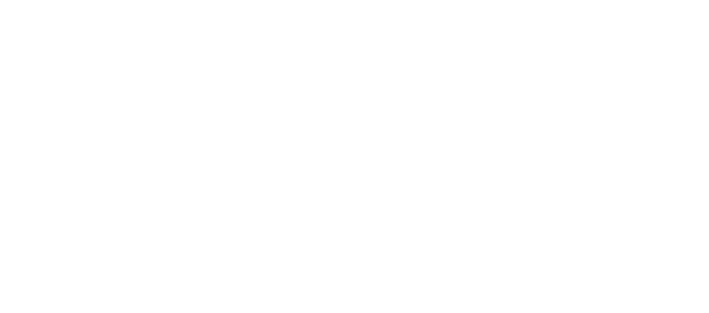 bellamont investments logo
