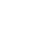 julie kins logo